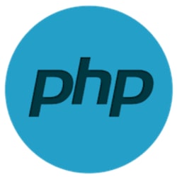 webdeveloper0_0