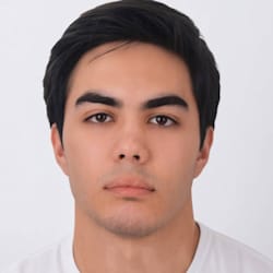 denisbuilds1