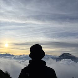 farelardan