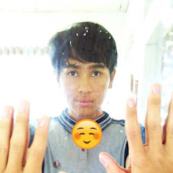 rinaldo_art29