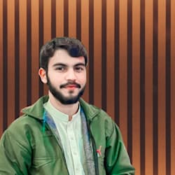 hamidhassan73