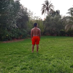 haytampek