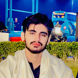 faisalbhuller