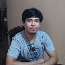 luisfloresaedo