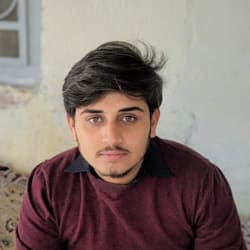 ali_the_drafter