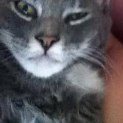 musicmakrr