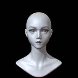 majidmodel