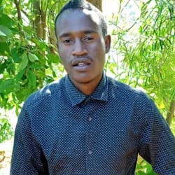 shemmwaka459