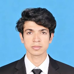 faiza_resume
