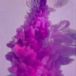 shamailamumtaz1