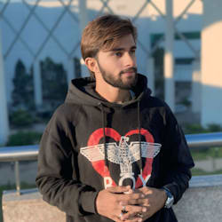 razaali503