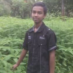 chamok2005