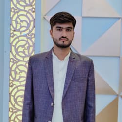 mianhussnain253