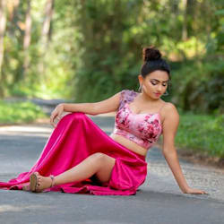 dilu_demodel
