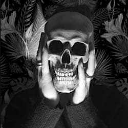 julien_nicolas