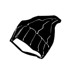 takeliongawa
