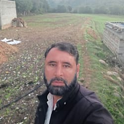 ansarmehmood23