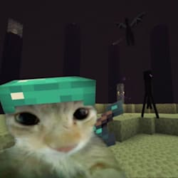 kazzi_1