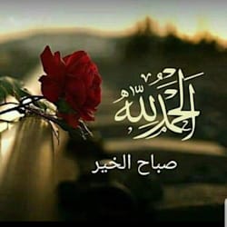 nasreenatiq