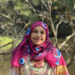 sultanakhan40