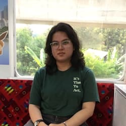 salsa_lubis