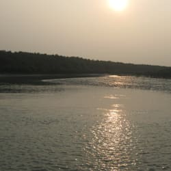 neemni