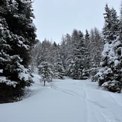 ivar_boelens
