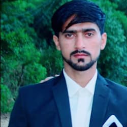 shamqureshi569