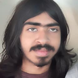 dinsaraalwis