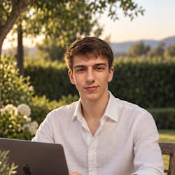 steinmann_dev