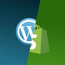 wp_shopifyy