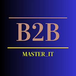 b2b_master_it