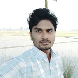 findseochecker