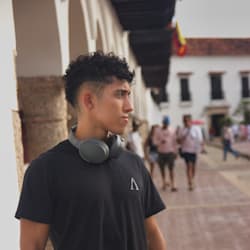 luisart_14
