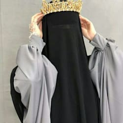 shahnazbibi376