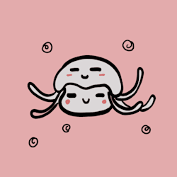 jellyfish2704