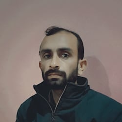 hafiz_experts