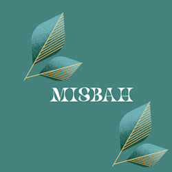 iqbalmisbah222