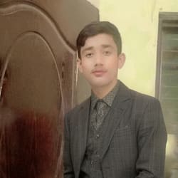 alibay40