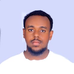 dagim_misrak