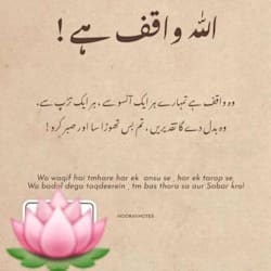 muhammadtaha73