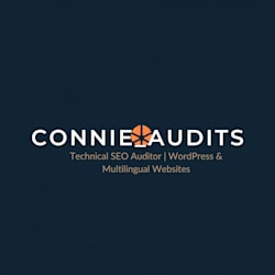 connie_techseoa