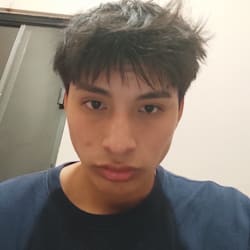 fernandoalva886