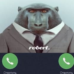 kingbtw__