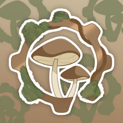 duzmachine