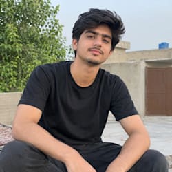 alihamza7434
