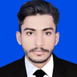 mianhamzaanwar1