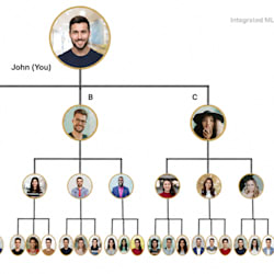 integratedmlm