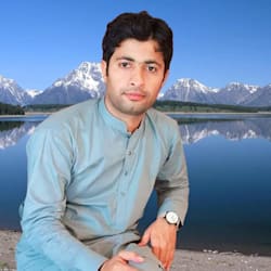 subhandesinger