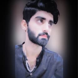 d3_sam